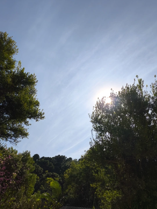 Andar Corporativo Corporativo para Lançamento - Dois Vizinhos, Alto da Colina - REF: 9 Imagem da galeria de fotos: Andar Corporativo Corporativo para Lançamento - Dois Vizinhos, Alto da Colina - REF: 9